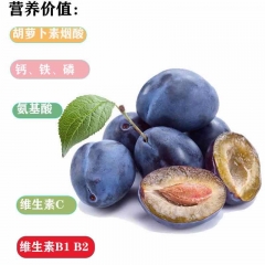 四川漢源新鮮西梅水果引種美國加州西梅口感更脆甜凈重7斤